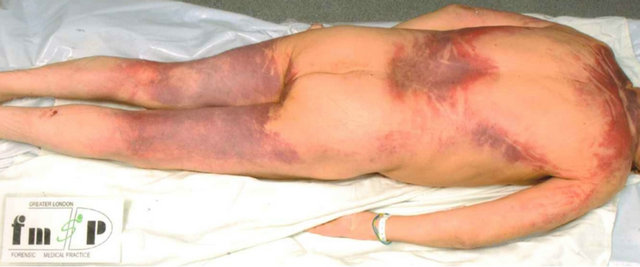 1-2790008-5f99154e-71b2-4da5-98a7-317d25f27e3b