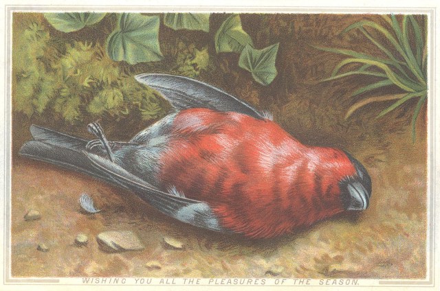dead-bird-victorian-card