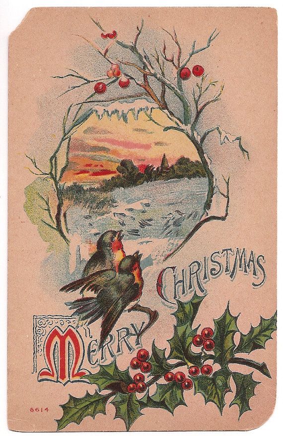 robins-1910-christmas-card-peering-into-otherside